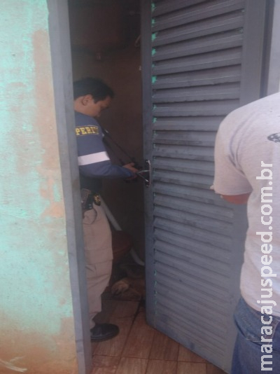 Mulher é assassinada a facadas e dupla é presa