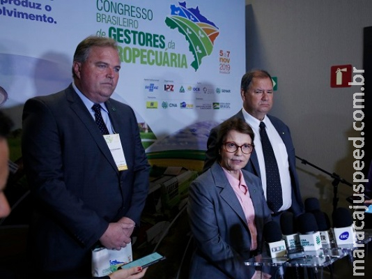 Pequenos produtores serão prioridade em 2020, diz ministra Pequenos produtores serão prioridade em 2020, diz ministra