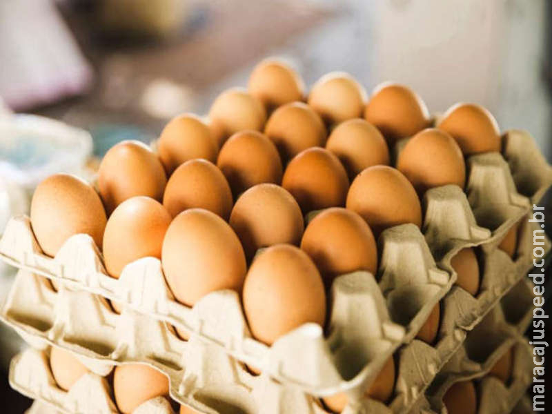 Pesquisadores desenvolvem material que prolonga a validade de ovos na prateleira