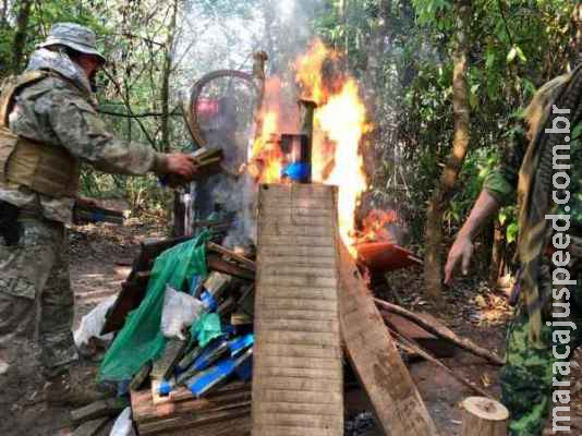 Polícia destrói complexo de acampamentos para produção de maconha na fronteira 