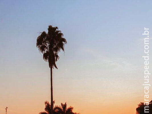 Segunda-feira tem previsão de sol e calor de 39°C em MS Segunda-feira tem previsão de sol e calor de 39°C em MS