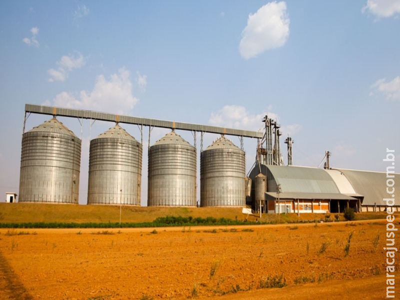 Soja lidera valor de produção na agricultura com R$ 104 bi
