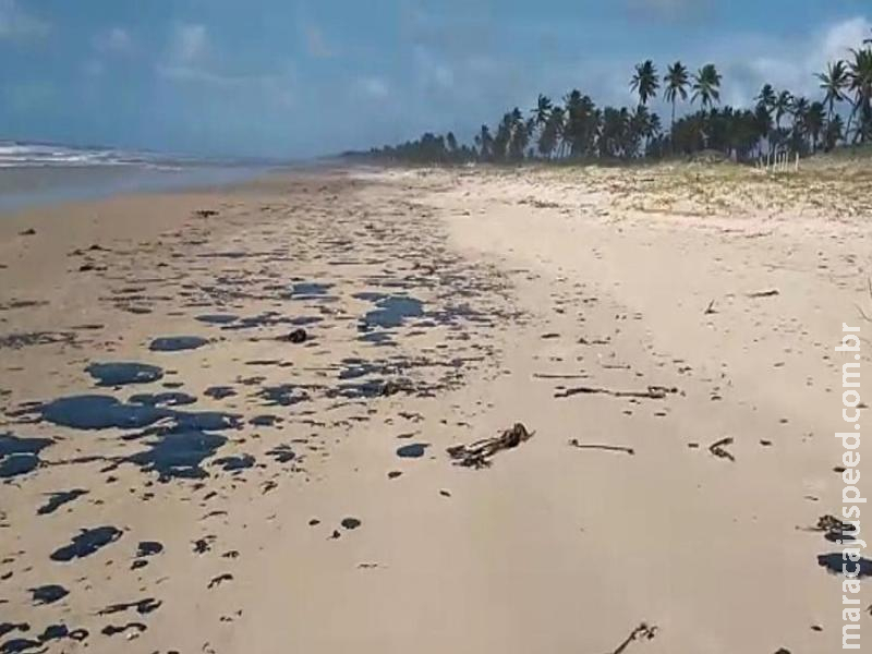 União pagará auxílio emergencial a pescadores afetados por óleo