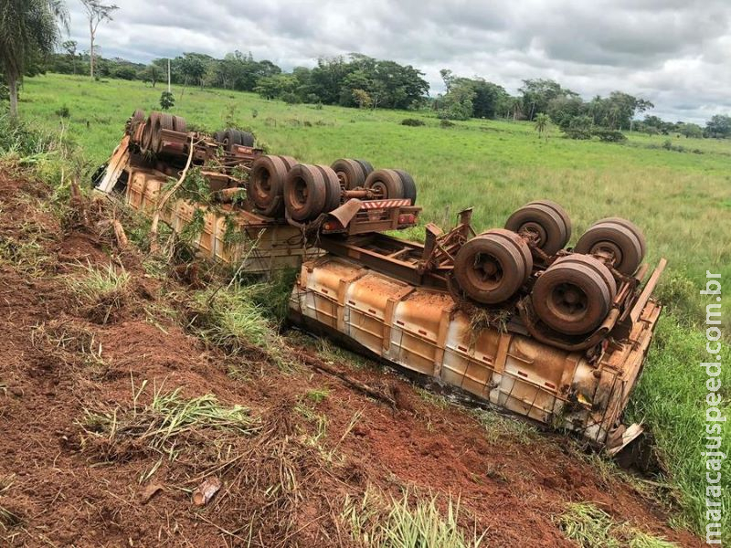 Abelha entra em cabine, motorista perde o controle e tomba carreta Abelha entra em cabine, motorista perde o controle e tomba carreta
