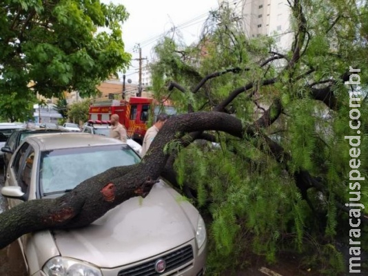 Chuva volta acompanhada de rajadas de ventos de até 60 km por hora