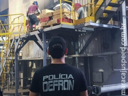 Com aumento de 31% no ano, Defron incinera mais 9,6 toneladas de drogas