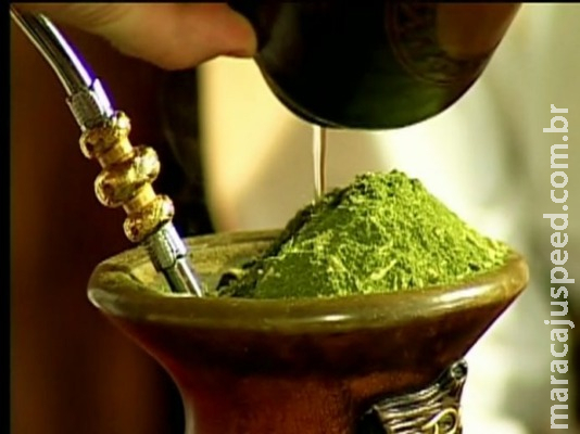Comissão aprova cultivo de erva-mate em área de proteção permanente Comissão aprova cultivo de erva-mate em área de proteção permanente