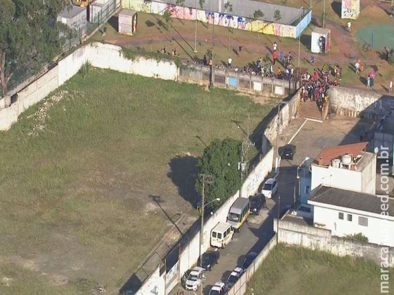 Criança de 10 anos morre após ataque de seis pit-bulls ao buscar pipa