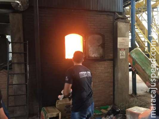 Delegacia especializada incinera mais de 6t de drogas Delegacia especializada incinera mais de 6t de drogas