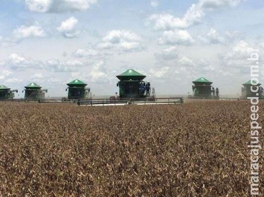Estado produzirá mais de 19,5 milhões de toneladas de grãos nesta safra