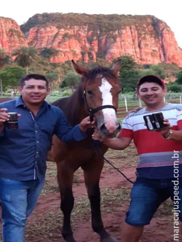 Irmãos são assassinados após discussão em corrida de cavalos Irmãos são assassinados após discussão em corrida de cavalos
