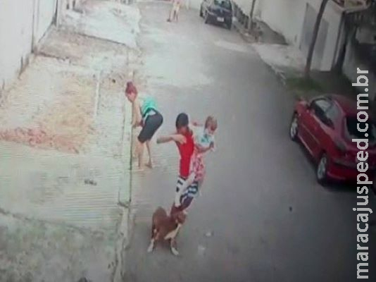 Jovem salva menina de 5 anos de ataque de pitbull