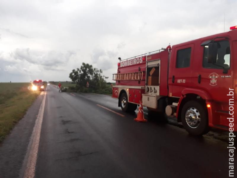 Maracaju: Bombeiros são acionados para atender ocorrência de queda de árvore na Rodovia BR-267