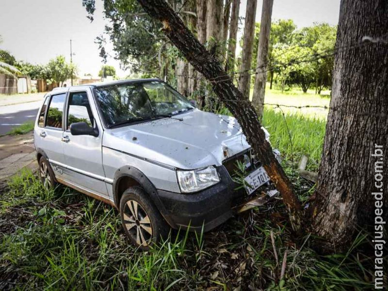 Na Capital, motorista desmaia em crise convulsiva e carro só para em árvore Na Capital, motorista desmaia em crise convulsiva e carro só para em árvore