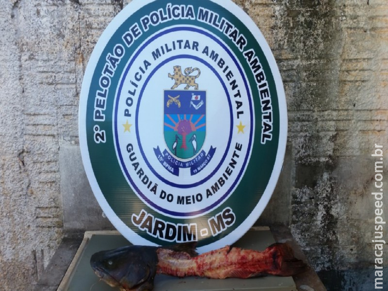 PMA de Jardim prende e autua em R$ 1,7 mil dois mecânicos por pesca em piracema com redes e tarrafas e por capturar pescado fora da medida PMA de Jardim prende e autua em R$ 1,7 mil dois mecânicos por pesca em piracema com redes e tarrafas e por capturar pescado fora da medida