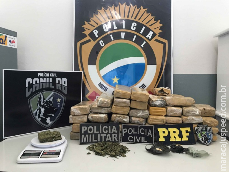 Polícia Civil de Jardim deflagra operação de combate ao tráfico de drogas Polícia Civil de Jardim deflagra operação de combate ao tráfico de drogas
