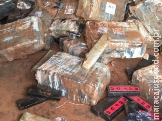 Polícia encontra 3,5 toneladas de maconha enterradas em chácara Polícia encontra 3,5 toneladas de maconha enterradas em chácara