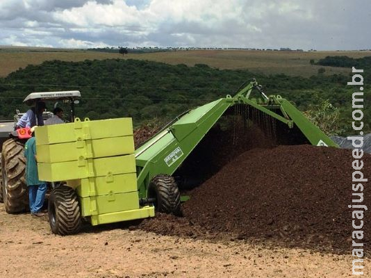 Resíduos da avicultura viram matéria-prima de fertilizantes