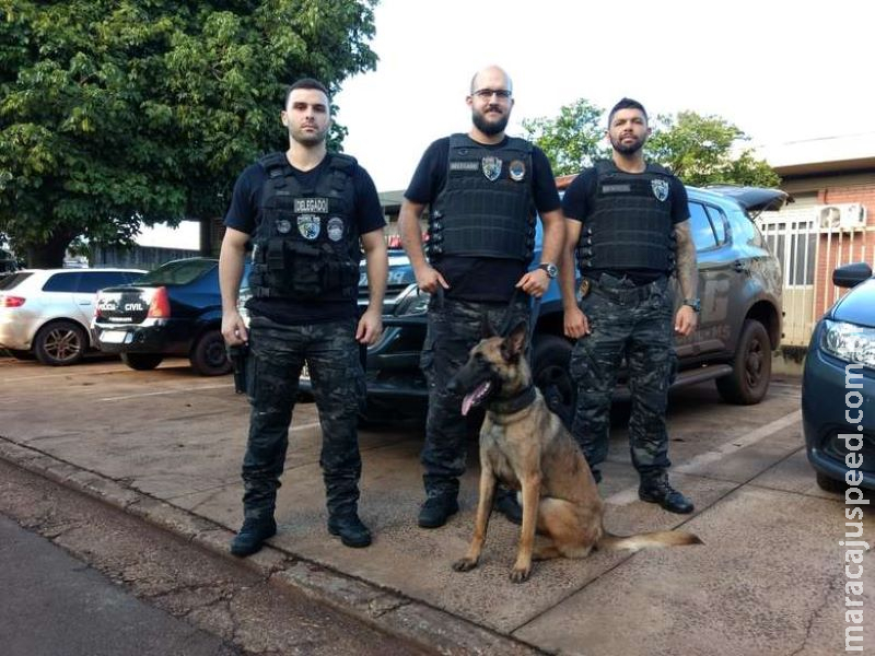 SIG implanta Canil para combater o tráfico em Rio Brilhante SIG implanta Canil para combater o tráfico em Rio Brilhante