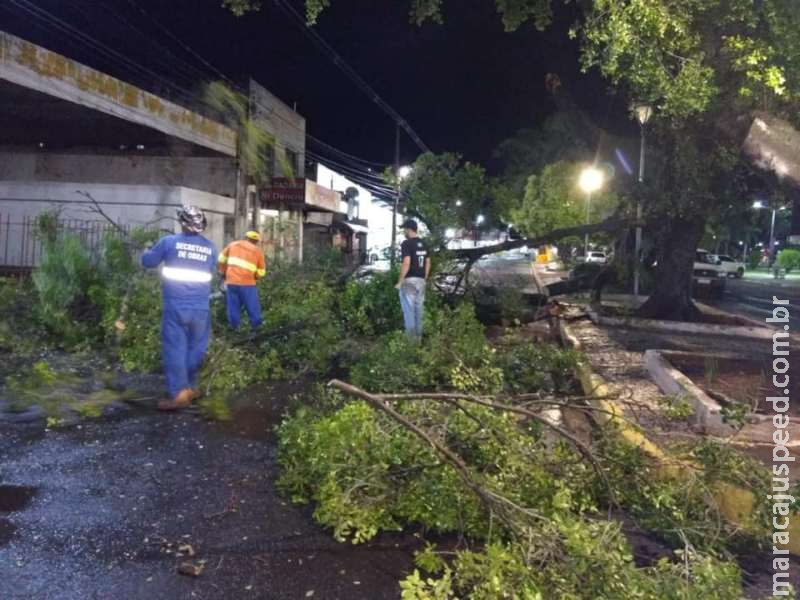 Ventos de 70 Km/h derrubam árvores, fiações e interditam ruas em Aquidauana e região