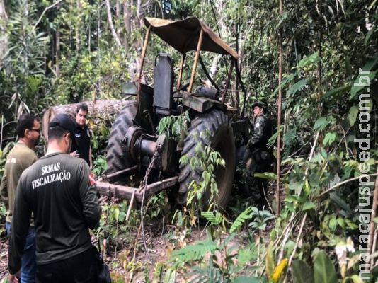 Antecedentes da empresa poderão influenciar pena por crime ambiental