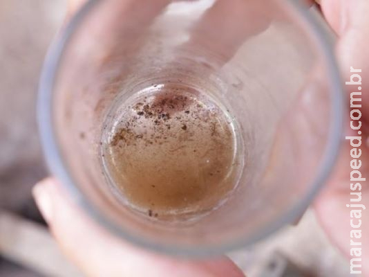 Bebê de 9 meses é primeiro caso confirmado de chikungunya em 2020