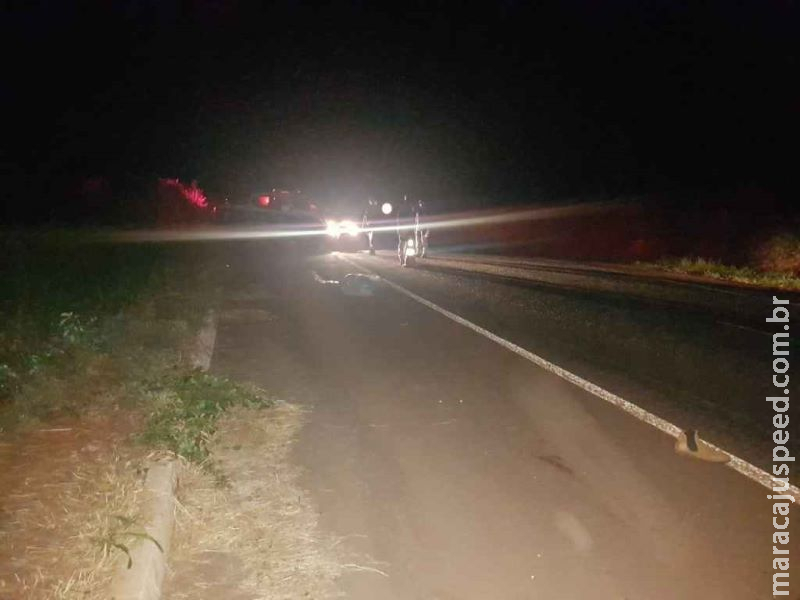 Capataz morto atropelado em rodovia tinha ido encontrar desconhecido, segundo testemunha