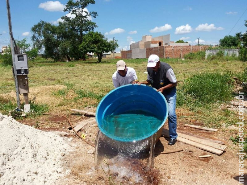 CCZ vai intensificar ações de combate ao Aedes aegypti CCZ vai intensificar ações de combate ao Aedes aegypti