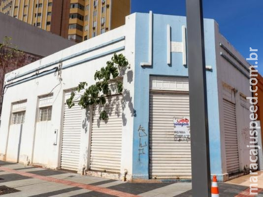 Com sementes levadas por pássaros, o verde brota onde a gente menos espera