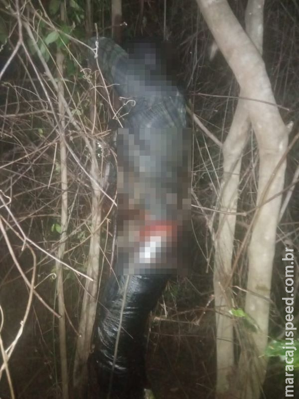 Corpo em decomposição é encontrado nas margens de estrada em MS