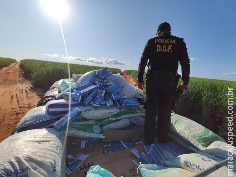 DOF apreende 20 mil pacotes de cigarros contrabandeados em caminhão DOF apreende 20 mil pacotes de cigarros contrabandeados em caminhão