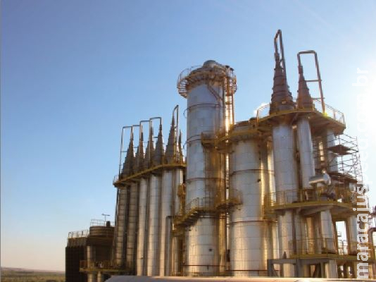Estado tem 19 usinas de biocombustível
