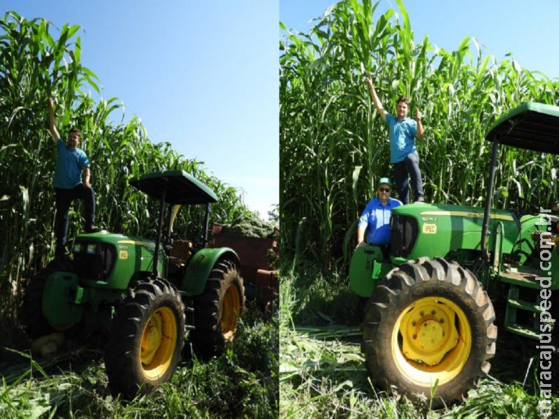 Maracaju: Sorgo gigante será apresentado no Showtec 2020 Maracaju: Sorgo gigante será apresentado no Showtec 2020