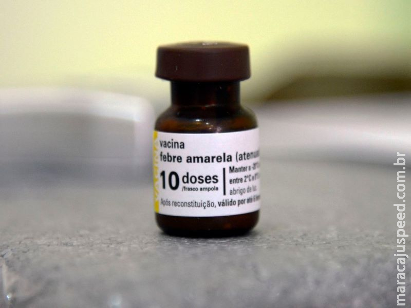 Ministério da Saúde faz alerta sobre febre amarela Ministério da Saúde faz alerta sobre febre amarela