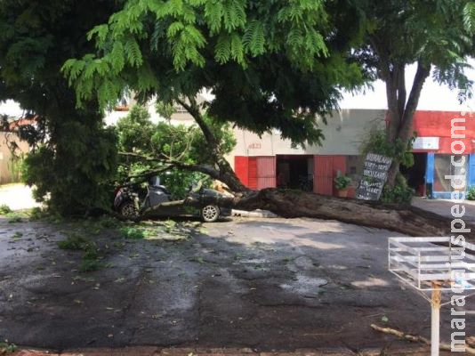 Moradores ficam sem energia após galho cair sobre veículo e fiação