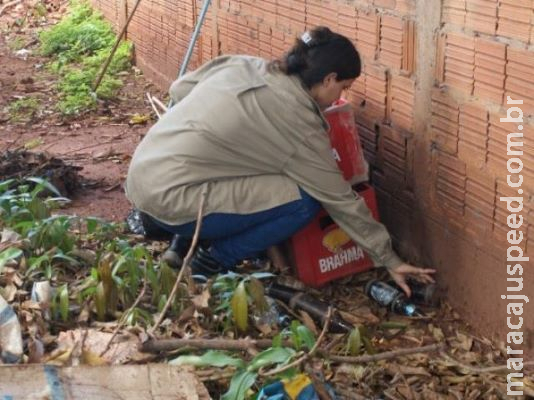 Mulher de 67 anos é a quarta vítima da dengue do ano em Mato Grosso do Sul