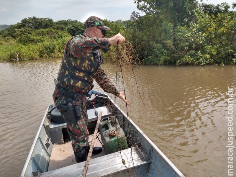Polícia Militar Ambiental prende e autua em R$ 45 mil, 32 pescadores em dois meses de piracema Polícia Militar Ambiental prende e autua em R$ 45 mil, 32 pescadores em dois meses de piracema