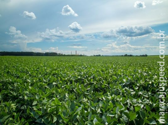 Produtores contrataram R$ 108,5 bilhões nos primeiros seis meses da atual safra para financiar agricultura