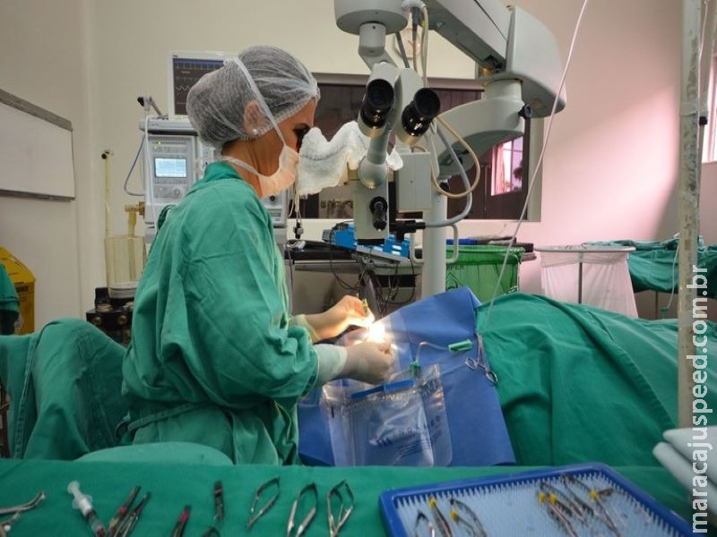 Programa de residência médica amplia oferta de bolsas em regiões mais vulneráveis Programa de residência médica amplia oferta de bolsas em regiões mais vulneráveis