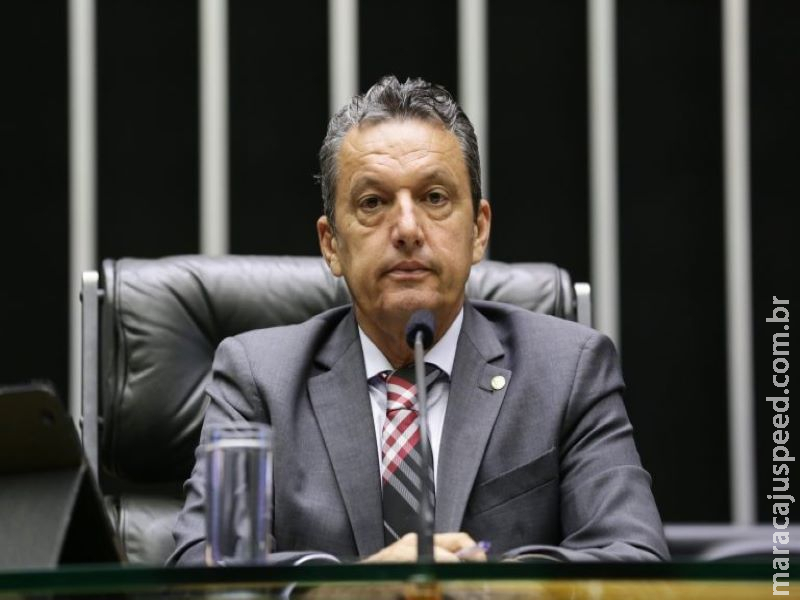 Projeto prevê instalação de brinquedos para crianças junto a academias de saúde Projeto prevê instalação de brinquedos para crianças junto a academias de saúde