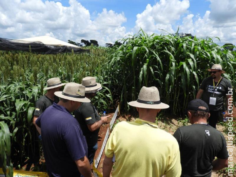 Showtec 2020 - Multinacional sul-americana estreia no circuito brasileiro de feiras agro Showtec 2020 - Multinacional sul-americana estreia no circuito brasileiro de feiras agro