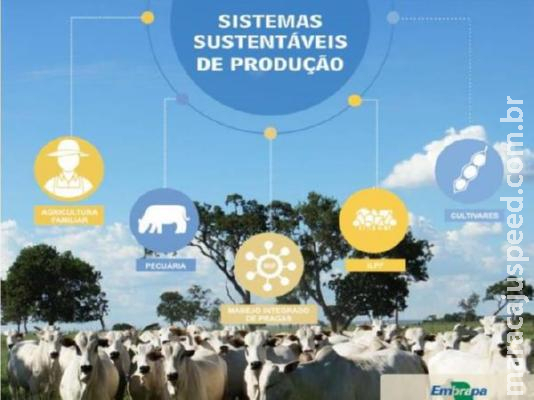 Tecnologias da Embrapa presentes no Showtec 2020