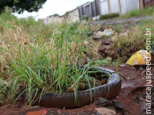 Atrás apenas do Acre, MS tem 2ª maior taxa de incidência de dengue do País