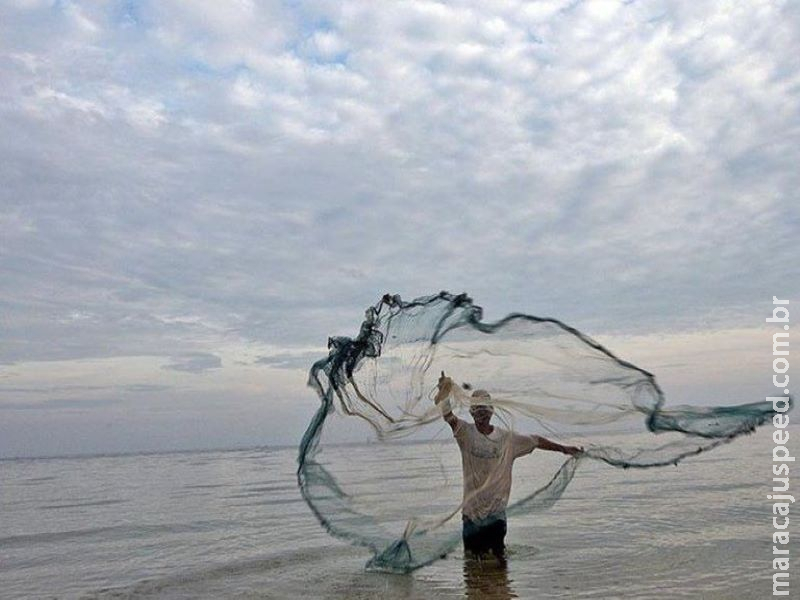 Brasil poderá exportar pescado para o Marrocos Brasil poderá exportar pescado para o Marrocos
