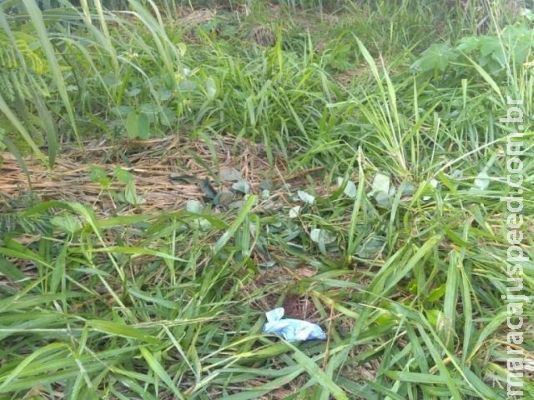 Corpo com sinais de queimadura é encontrado em terreno baldio Corpo com sinais de queimadura é encontrado em terreno baldio