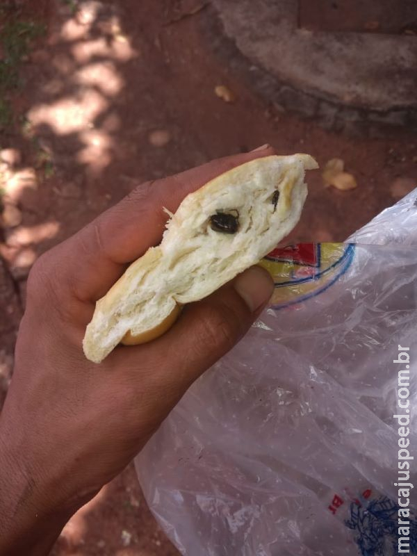 Criança encontra barata no meio de pão francês durante café da manhã
