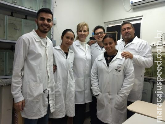 Detergente de castanha de caju elimina larvas do mosquito da dengue