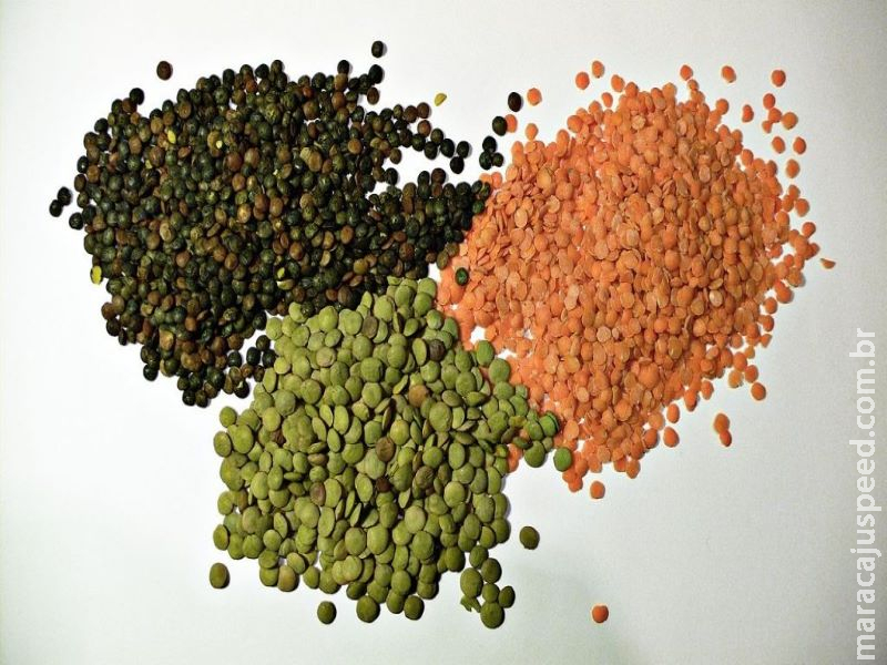 Em Dia dos Legumes, PNUMA destaca benefícios climáticos e comunitários do plantio do feijão Em Dia dos Legumes, PNUMA destaca benefícios climáticos e comunitários do plantio do feijão