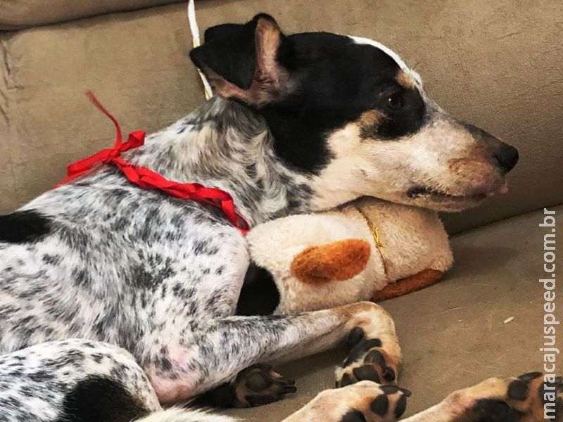 Família organiza rifa para ajudar no tratamento da Valenty na Capital