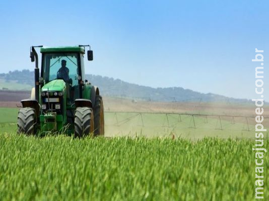 Fevereiro começa com mais de 600 vagas de empregos em MS; em Dourados são 39